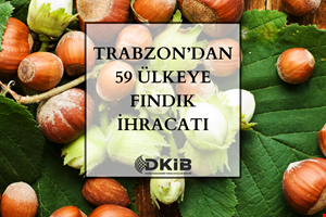 2023 YILINDA FINDIK İHRACATININ %29'U TRABZON'DAN